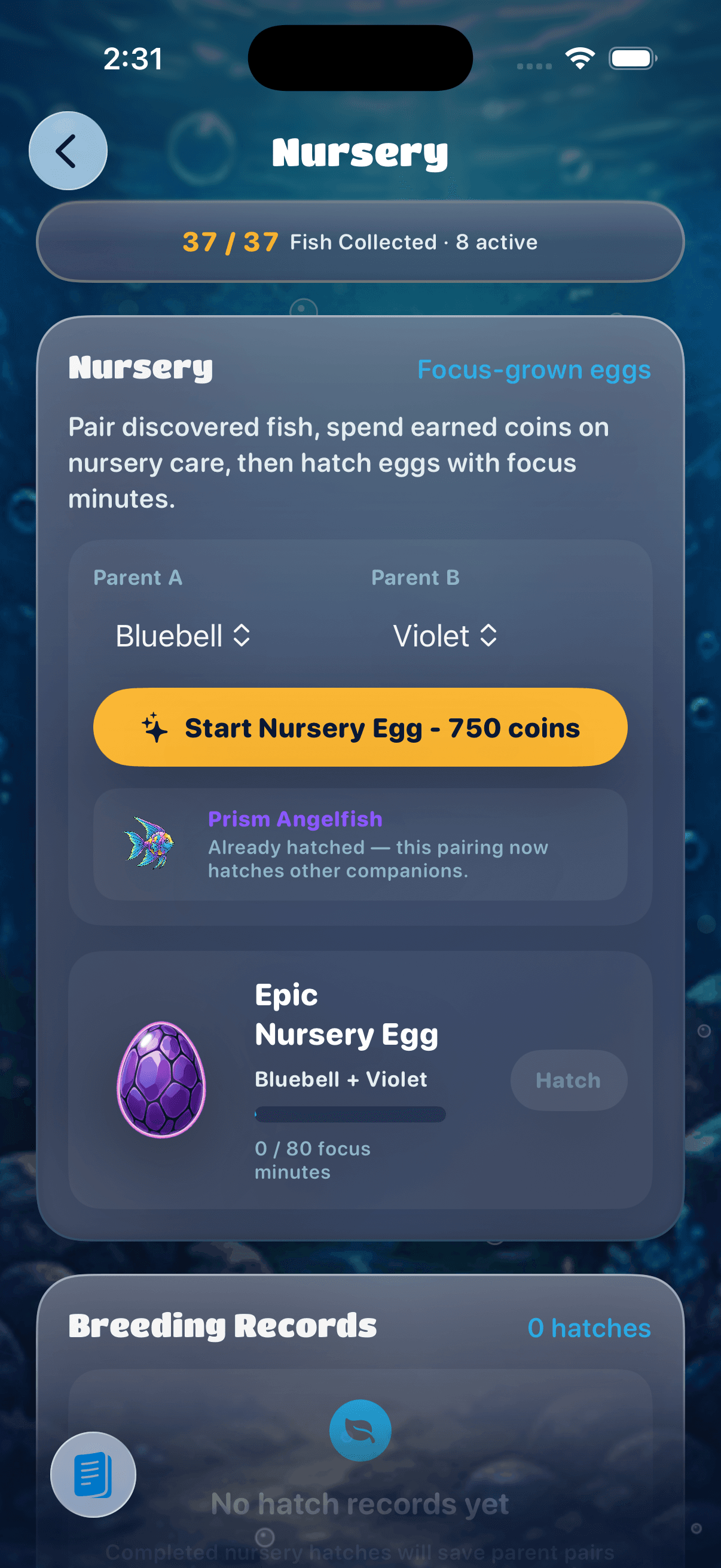 Hatch from focus